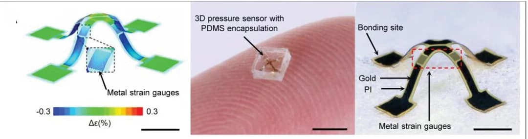 Open access visualization of Microscopy, Photo, Strain Distribution, Pressure Sensor, Elastomer