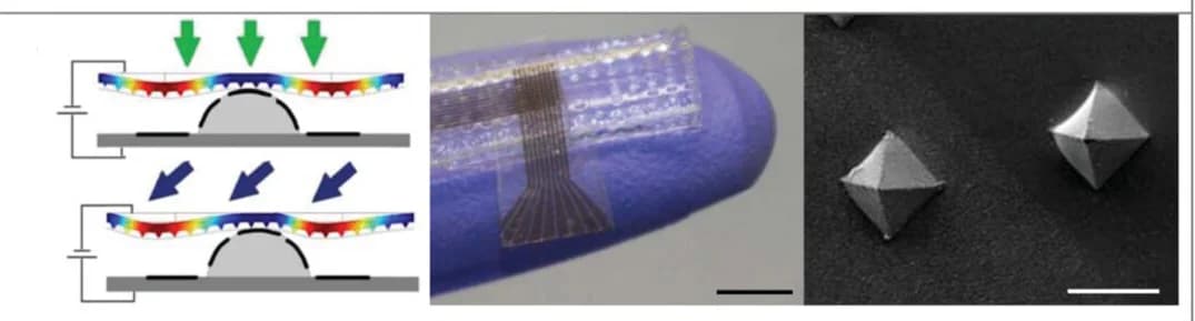 Open access visualization of Microscopy, Photo, Illustration, Mechanical Stimuli, Pressure Sensor