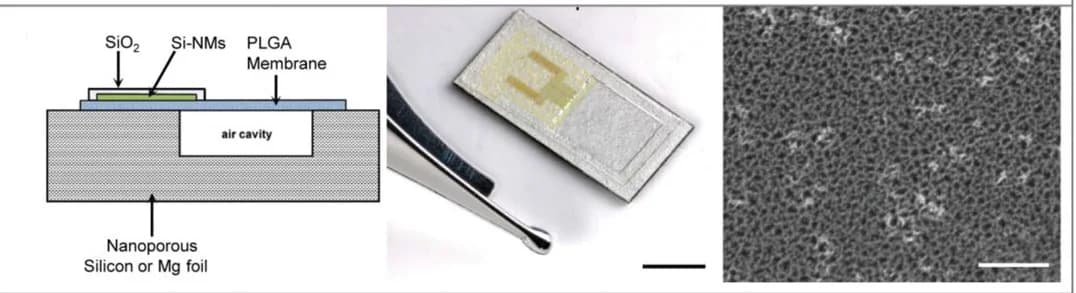Open access visualization of Illustration, Microscopy, Photo, Cavity Structure, Pressure Sensor