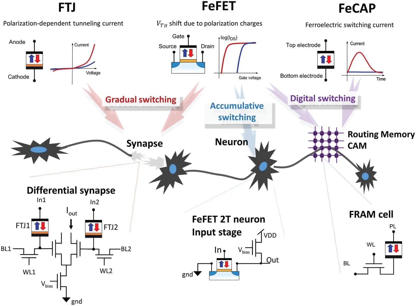 Open access visualization of Workflow, Illustration, Line Plot, Ferroelectric Polarization, Perovskite Structure