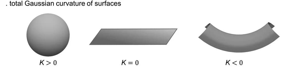 Open access visualization of Illustration, Gaussian Curvature, Surfaces