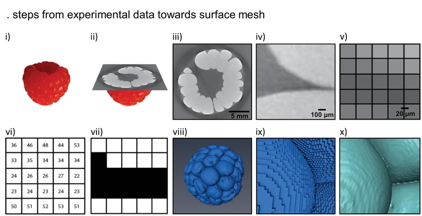 Open access visualization of Workflow, Microscopy, 3D Plot, Illustration, Computed Tomography