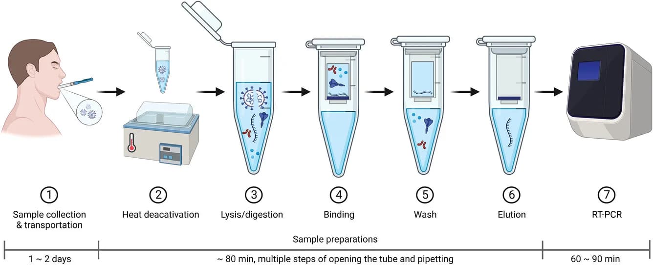 Open access visualization of Workflow, Illustration, COVID-19, Nucleic Acid Extraction, Molecular Diagnostics