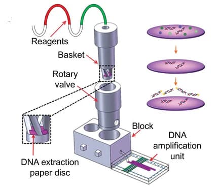 Open access visualization of Workflow, Illustration, Point-of-Care, DNA Extraction, DNA Detection