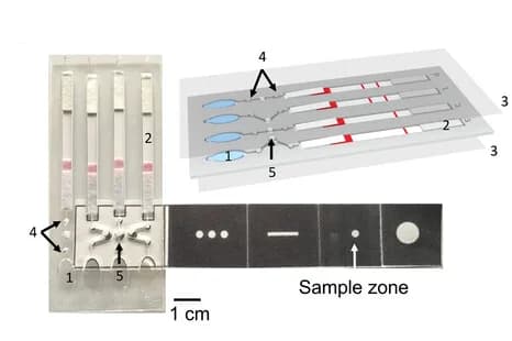 Open access visualization of Illustration, Workflow, Lateral-Flow, Diagnostic Device, DNA Detection