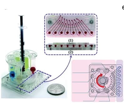 Open access visualization of Workflow, Illustration, Microfluidic Cassette, DNA, Extraction