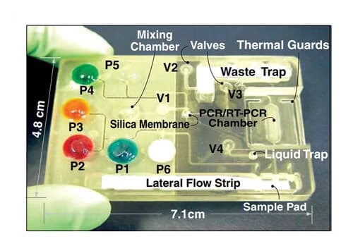 Open access visualization of Photo, Microfluidic Cartridge, DNA Extraction, RNA Extraction, Amplification