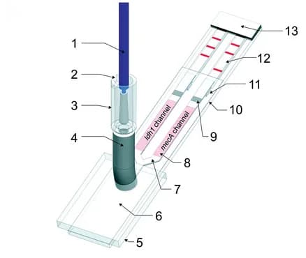 Open access visualization of Illustration, Fluid Flow, MAD NAAT, Paper Network, Amplification