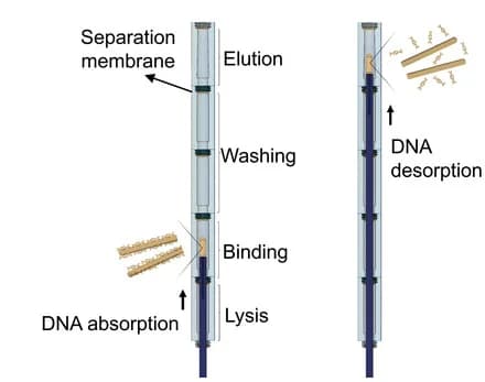 Open access visualization of Workflow, Illustration, DNA Isolation, Functionalized Swab, Reaction Chambers