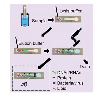 Open access visualization of Workflow, Flowchart, Illustration, Cellulose, Nitrocellulose