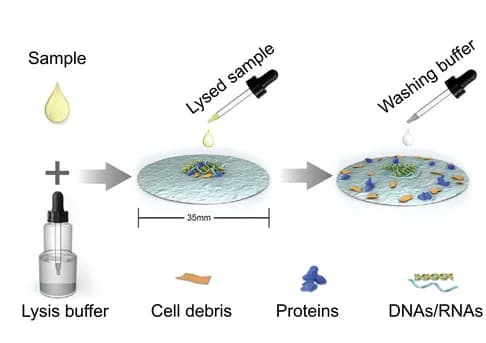 Open access visualization of Workflow, Illustration, Glass-Fiber-Paper, DNA, RNA