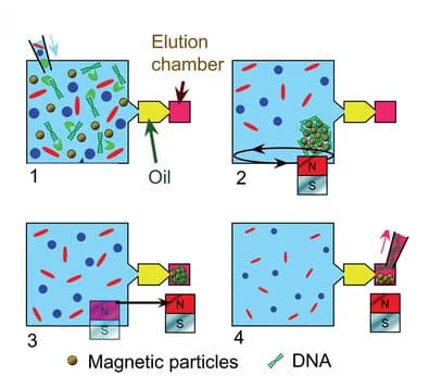 Open access visualization of Workflow, Illustration, Immiscible Filtration, Surface Tension, Cell Lysis