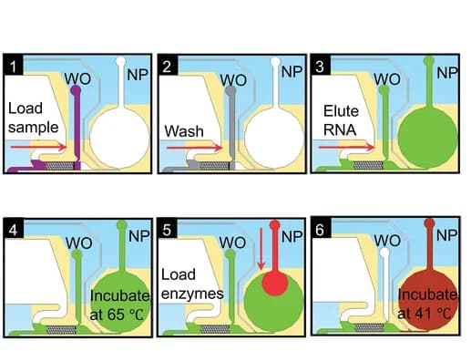 Open access visualization of Workflow, Flowchart, Illustration, RNA Purification, Microfluidic