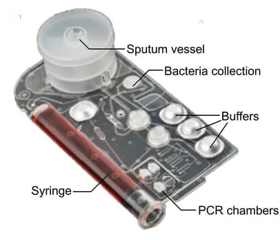 Open access visualization of Photo, Microfluidic Cartridge, M. tuberculosis, MTB Diagnostics, Sputum Sample