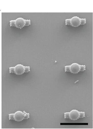 Open access visualization of Microscopy, SEM image, Traps, 2PP-DWL, Three-particle clusters