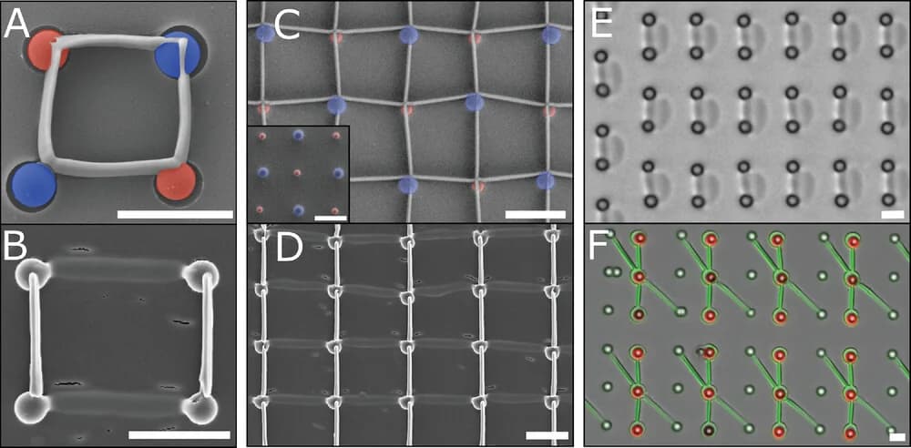 Open access visualization of Microscopy, SEM, Colloidal Molecule, PS, SiO2 Particles