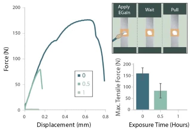 Open access visualization of Line Plot, Bar Plot, Error Bars, Tensile elongation, Tensile force