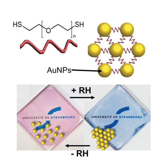 Open access visualization of Illustration, Chemical Structure, AuNPs, Dithiolated PEG, 2D Networks