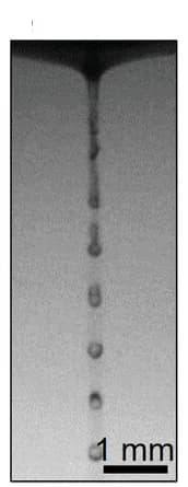 Open access visualization of Photo, Microscopy Image, Compound Jet, Monodisperse Droplets, JetALL