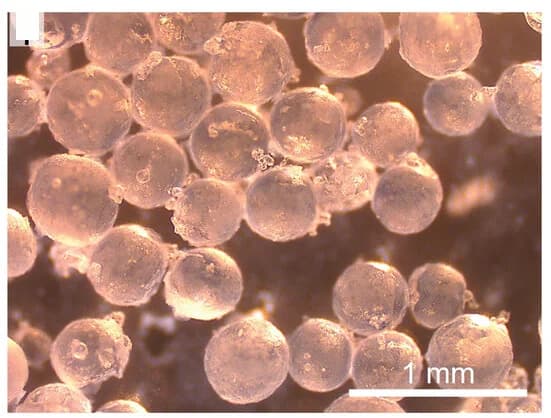 Open access visualization of Microscopy, Photo, Microscopy Image, Microcapsules, Silica Shell