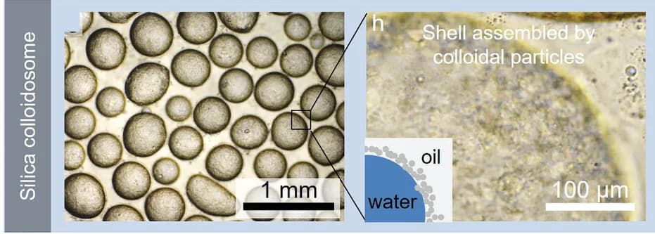 Open access visualization of Microscopy, Illustration, Pickering Emulsion, Silica-coated Water Droplets, Oil