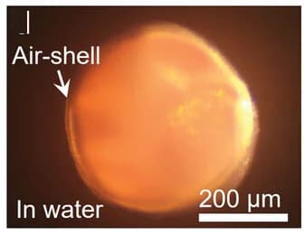 Open access visualization of Microscopy, Microscopy Images, Capsules, Air Layer, Water Pressure