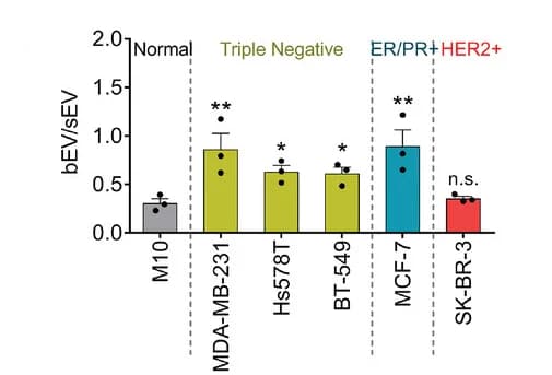 Open access visualization of Bar Plot, Error Bars, TNBC, ER/PR+ Breast Cancer Cells, bEV-to-sEV Ratios
