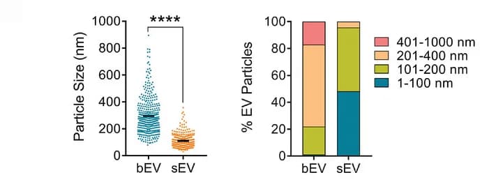 Open access visualization of Bar Plot, Stacked Bar Plot, Scatter Plot, Particle Size, Particle Size Distribution