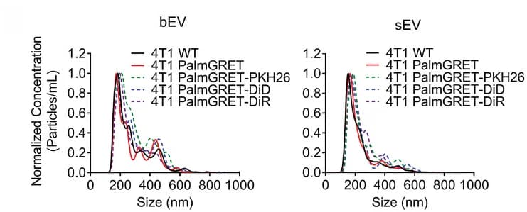 Open access visualization of Line Plot, Density Plot, Size distribution, bEVs, sEVs