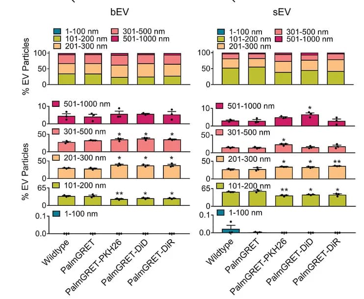 Open access visualization of Stacked Bar Plot, Bar Plot, Error Bars, Particle Size Composition, bEVs