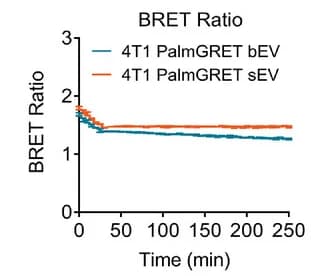 Open access visualization of Line Plot, Error Bars, Half-life, BRET Ratio, PalmGRET Reporter