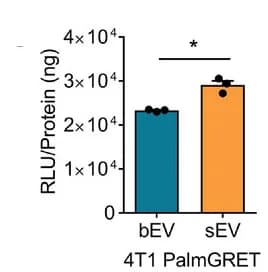 Open access visualization of Bar Plot, Error Bars, sEVs, RLU, bEVs
