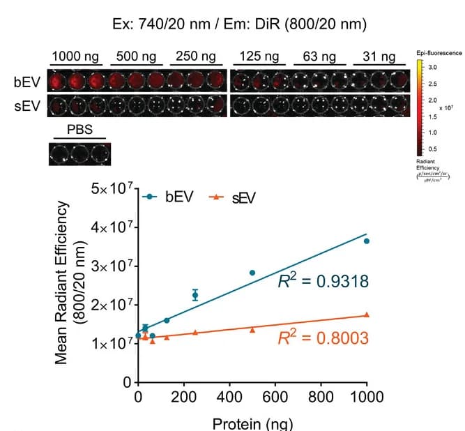 Open access visualization of Line Plot, Error Bars, Microscopy, DiR, EVs