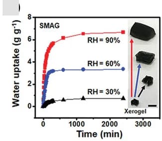 Open access visualization of Line Plot, Photo, Water Uptake, SMAG, Relative Humidity
