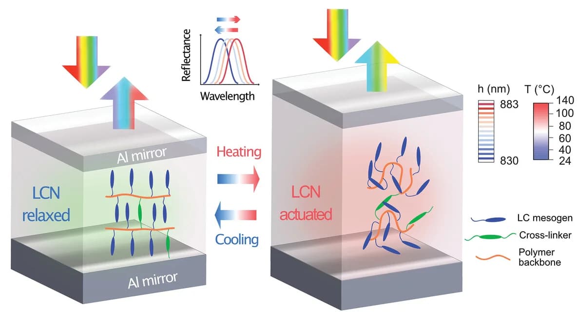 Open access visualization of Illustration, Line Plot, Resonant optical properties, Fabry-Pérot cavity, LCN layer