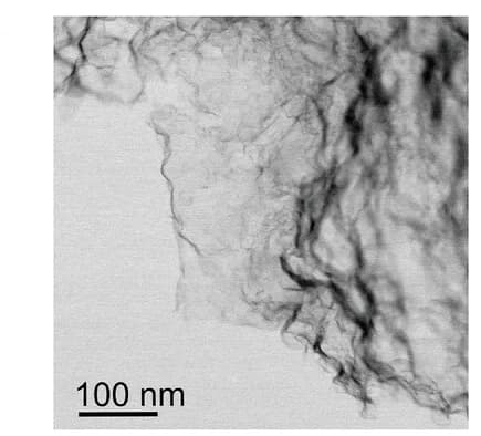 Open access visualization of Microscopy, TEM Image, NiCu-NC