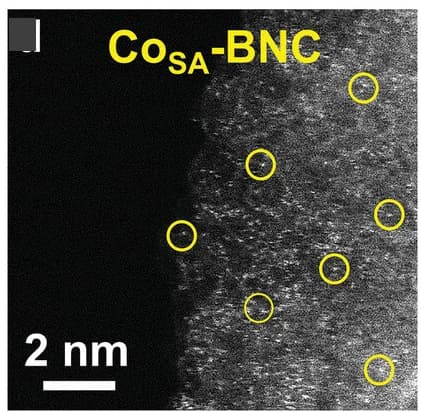 Open access visualization of Microscopy, AC-HAADF-STEM Images, CoSA-BNC