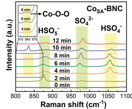 Open access visualization of Line Plot, Density Plot, Raman Spectra, CoSA-BNC/PMS, In Situ