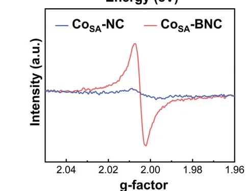 Open access visualization of Line Plot, EPR, Low-Temperature, CoSA-NC, CoSA-BNC