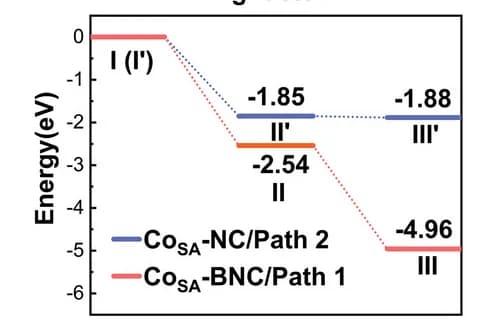 Open access visualization of Line Plot, Line Step, Energy Profile, PMS Activation, Reaction Coordinate