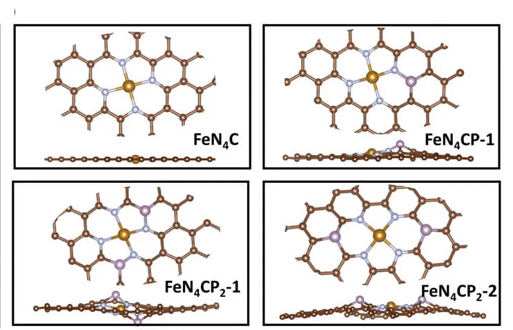 Open access visualization of Protein Structure, Chemical Structure, FeN4C, FeN4CP-1, FeN4CP2-1