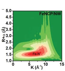 Open access visualization of Heatmap, WT, FeNCP/NW
