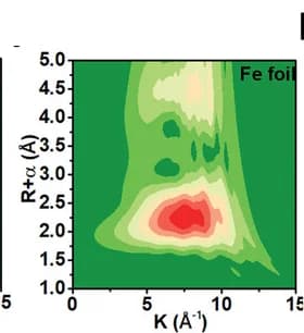 Open access visualization of Heatmap, WT, Fe Foil