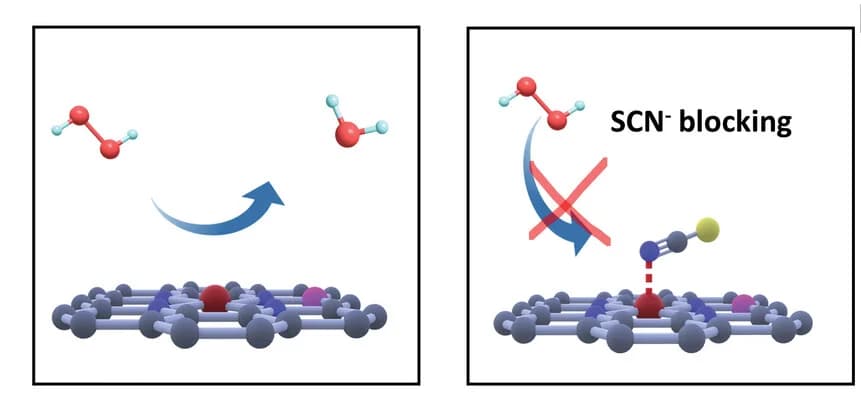 Open access visualization of Illustration, Chemical Structure, POD-like catalytic process, KSCN influence, Schematic illustration