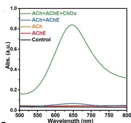 Open access visualization of Line Plot, Absorption curves, FeNCP, NW, TMB