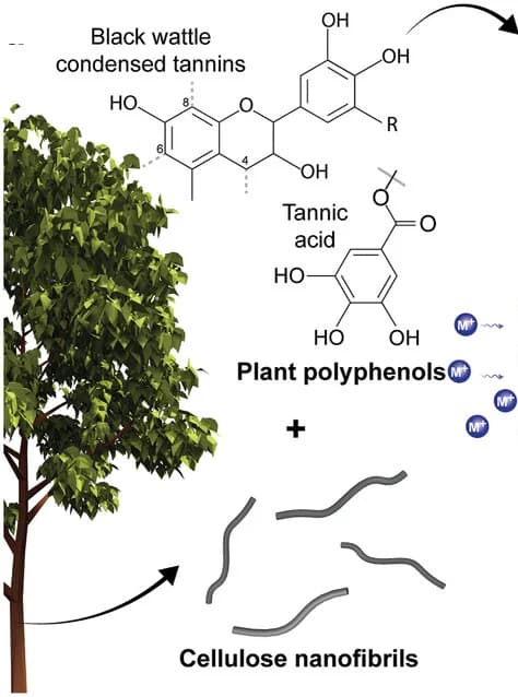 Open access visualization of Illustration, Chemical Structure, Cellulose Nanofibers, Tannic Acid, Condensed Tannins