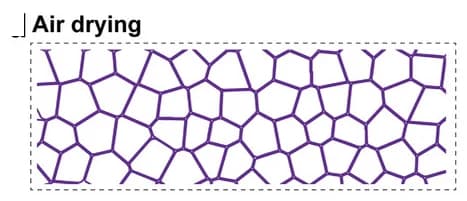 Open access visualization of Illustration, Metal-Phenolic Networks, Assembly