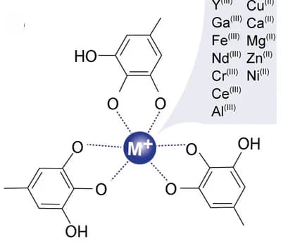 Open access visualization of Chemical Structure, Tannin-CNF, Drying, Ambient Conditions, Shrinkage Prevention