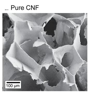 Open access visualization of Microscopy, Scanning electron microscopy, CNF