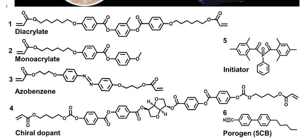 Open access visualization of Chemical Structure, Chemical Components, LCN Coatings, SEM Images, Porogen